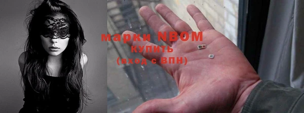 СК Сафоново