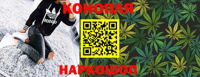 стафф Дубна