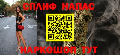 СК Донской