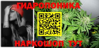 стафф Дубна