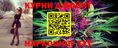 стафф Дубна