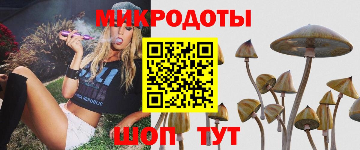 Кизляр  купить наркотики цена  Вход с VPN  Псилоцибиновые грибы Cubensis  Псилоцибиновые грибы GOLDEN TEACHER 