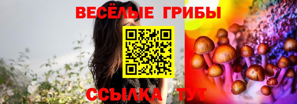 Галлюциногенные грибы MAGIC MUSHROOMS Кизляр