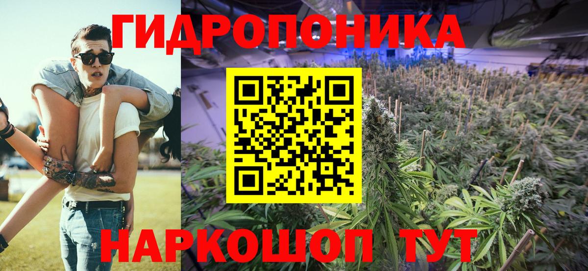 Кизляр  Шишки марихуана VHQ  Канабис индика  Вход с VPN  Шишки марихуана тримм 